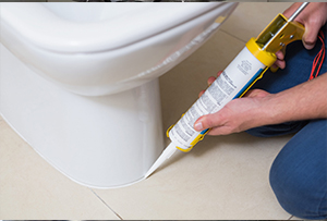 Toilet & Bidet Installation Services in Renton